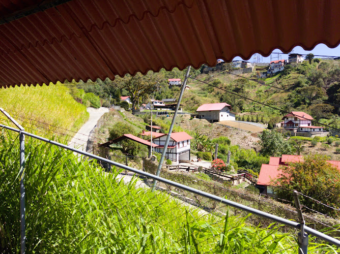 Posada el Nido Colonia Tovar