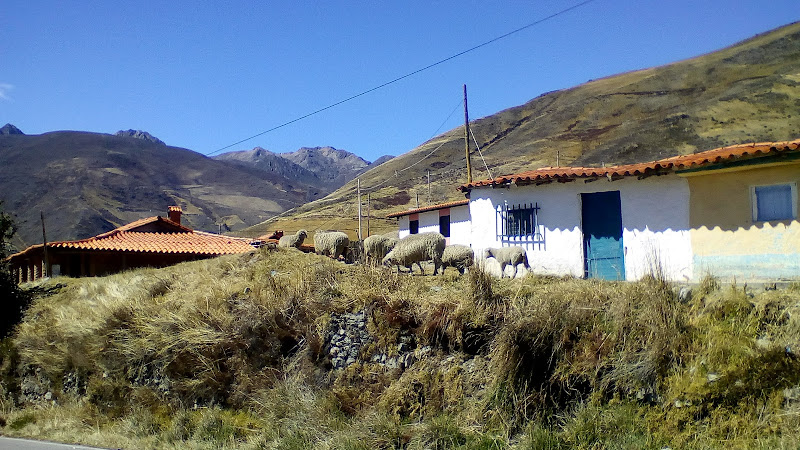 Posada Neblinas del Valle