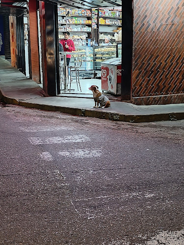 Posada y Panaderia el Ovejo